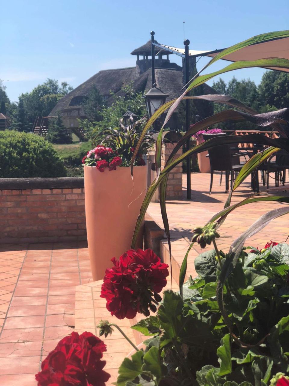 Villa Audruvis Joniskis  Bagian luar foto